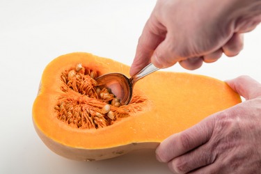 Scooping pulp out of a butternut squash with a spoon. Scooping pulp out of a butternut squash with a spoon.