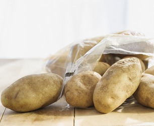 Because of the putrescible tendencies of potatoes, they should be stored in a cool dark place. Because of the putrescible tendencies of potatoes, they should be stored in a cool dark place.