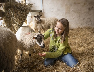 She was given the chore of caring for the three sheep on the farm based on quantitative measurements. She was given the chore of caring for the three sheep on the farm based on quantitative measurements.