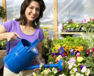 Margie really enjoys growing flowers in her greenhouse. Margie really enjoys growing flowers in her greenhouse.