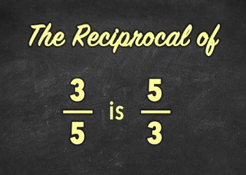 Reciprocal Reciprocal