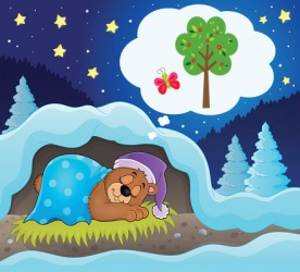 The sleeping bear was dreaming of Spring. The sleeping bear was dreaming of Spring.