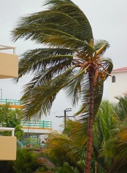 The wind blew relentlessly as the tropical storm moved through during our annual beach vacation. The wind blew relentlessly as the tropical storm moved through during our annual beach vacation.