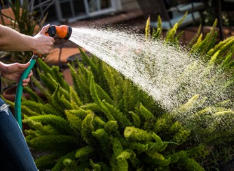 The water hose nozzle restricts the flow of water to a gentle spray so the plants won't get damaged. The water hose nozzle restricts the flow of water to a gentle spray so the plants won't get damaged.