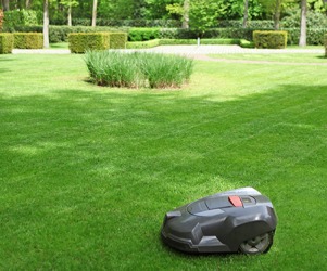 A robot lawn mower might be a good investment for people who dislike yard work. A robot lawn mower might be a good investment for people who dislike yard work.