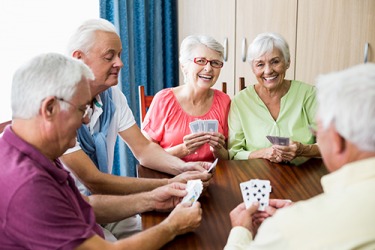 The competition can get quite intense when the group of friends play a game of Rooky together. The competition can get quite intense when the group of friends play a game of Rooky together.