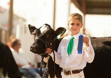 Garrett has won the first place award for three years running at the county fair in the dairy heifer category. Garrett has won the first place award for three years running at the county fair in the dairy heifer category.
