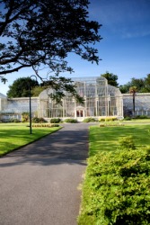 Botanical garden in Dublin. Botanical garden in Dublin.