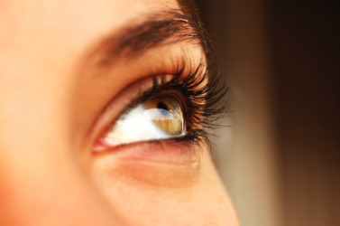 A woman's brow. A woman's brow.