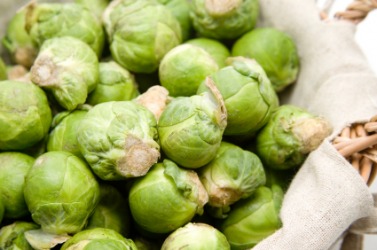 A basket of fresh Brussels sprouts. A basket of fresh Brussels sprouts.