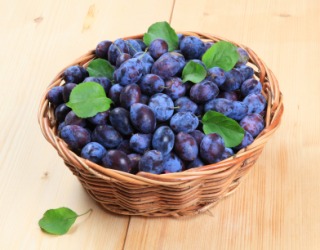 A basket of freshly picked bullace or damson plums. A basket of freshly picked bullace or damson plums.