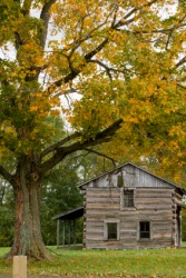 A log cabin in the woods. A log cabin in the woods.