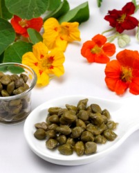 A dish of tangy capers. A dish of tangy capers.