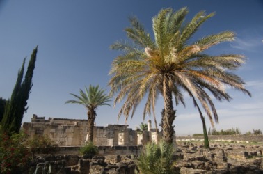 The ruins of the ancient city of Capernaum. The ruins of the ancient city of Capernaum.