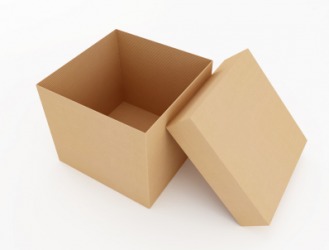 An empty cardboard carton. An empty cardboard carton.