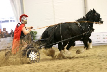 A Roman charioteer driving his chariot in a race. A Roman charioteer driving his chariot in a race.