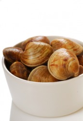 A bowl of cherrystone clams. A bowl of cherrystone clams.