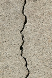 A chink in concrete. A chink in concrete.