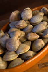 A dish full of clams. A dish full of clams.