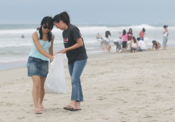 Volunteers working to cleanup a beach. Volunteers working to cleanup a beach.