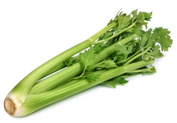 A bunch of celery stalks. A bunch of celery stalks.