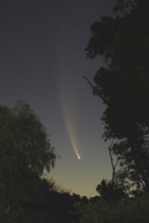 The McNaught comet at sunset. The McNaught comet at sunset.