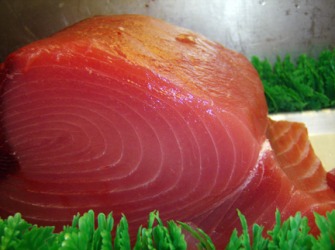Tuna! Tuna!