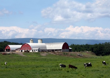 A dairy farm in Pennsylvania. A dairy farm in Pennsylvania.