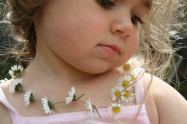 A little girl wearing a daisy chain. A little girl wearing a daisy chain.