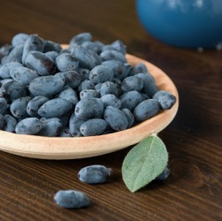 A bowl of blue huckleberries also called dangleberries. A bowl of blue huckleberries also called dangleberries.