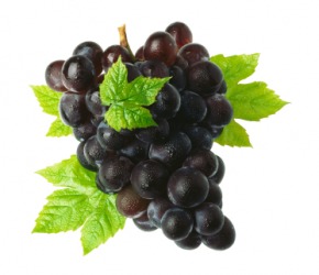 A cluster of grapes. A cluster of grapes.
