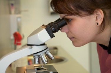 The eyepiece of this microscope is an example of a drawtube. The eyepiece of this microscope is an example of a drawtube.