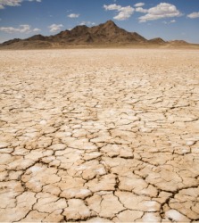 A dry, cracked river bed. A dry, cracked river bed.