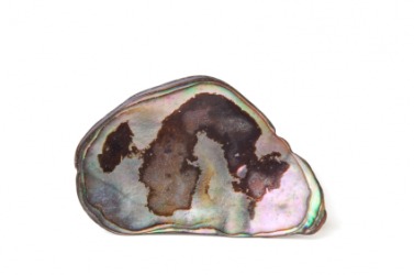 An ear shell. An ear shell.