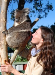 The Koala is arboreal. The Koala is arboreal.
