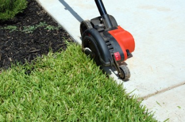 An edger being used on a lawn. An edger being used on a lawn.