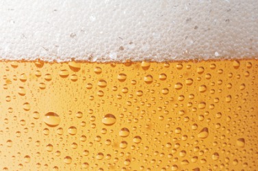 A glass of effervescent beer. A glass of effervescent beer.