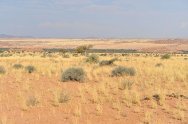 An arid landscape. An arid landscape.