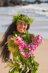 An engarlanded hula dancer. An engarlanded hula dancer.
