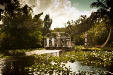 An airboat travels through everglades. An airboat travels through everglades.