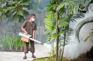 A man uses a fog to exterminate insects. A man uses a fog to exterminate insects.
