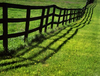 A wooden fence. A wooden fence.