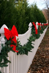 Festoonery on a fence. Festoonery on a fence.