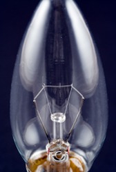 Filaments in a lightbulb. Filaments in a lightbulb.