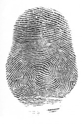 An image of a fngerprint. An image of a fngerprint.