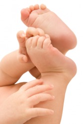 A babies fingers and toes. A babies fingers and toes.