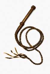 A whip is a flagellum. A whip is a flagellum.