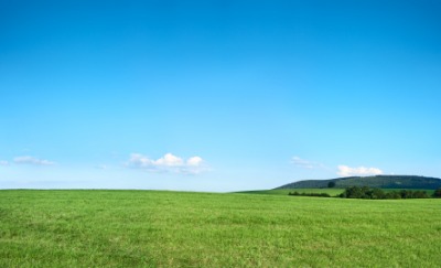 Grassy flatland. Grassy flatland.