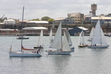 A flotilla of sailboats. A flotilla of sailboats.