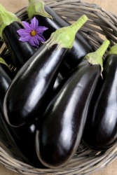 An aubergine or eggplant. An aubergine or eggplant.